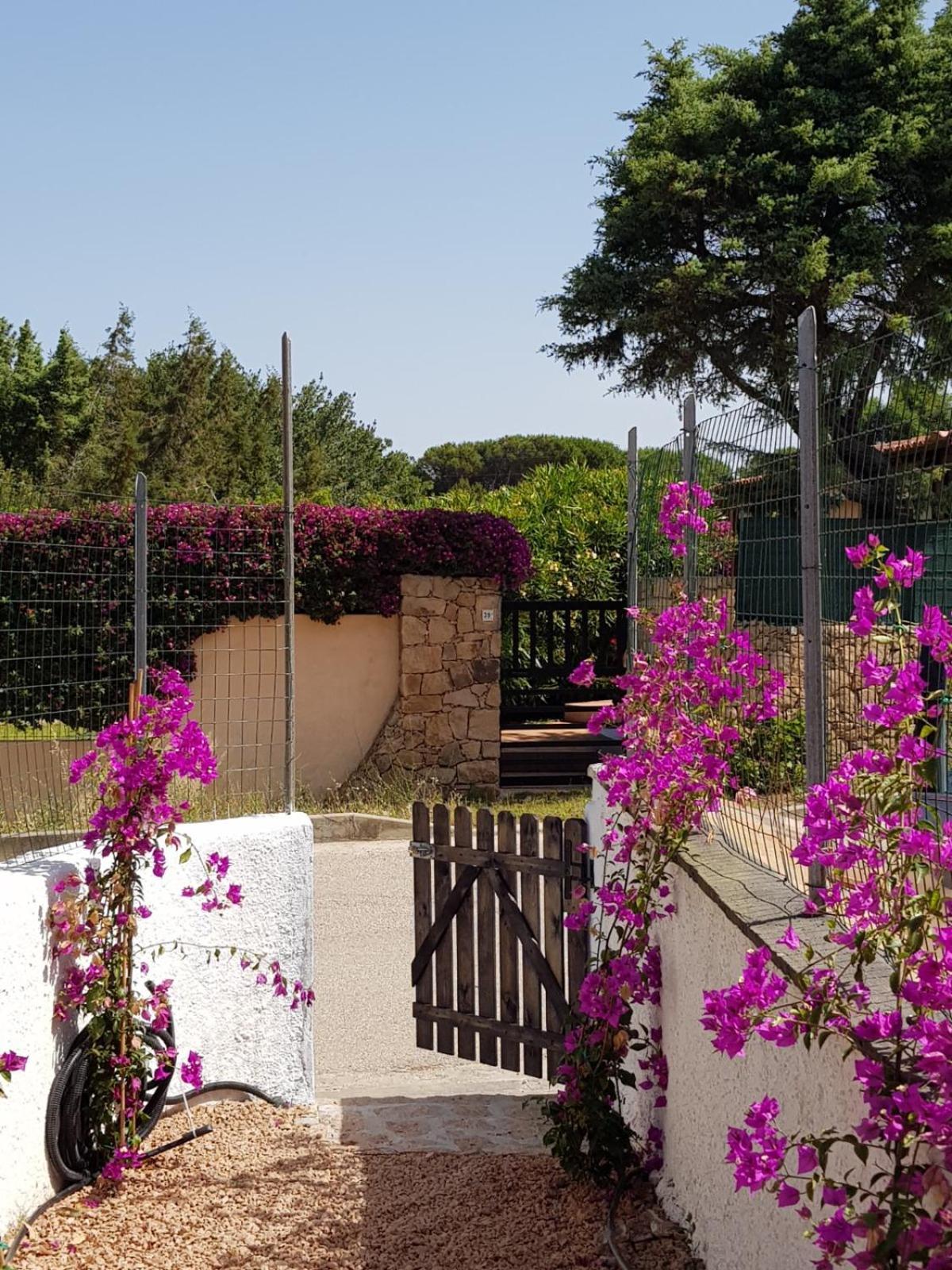 Villa Bouganville 15 Min A Piedi Dalla Spiaggia Rena Majore Exterior foto