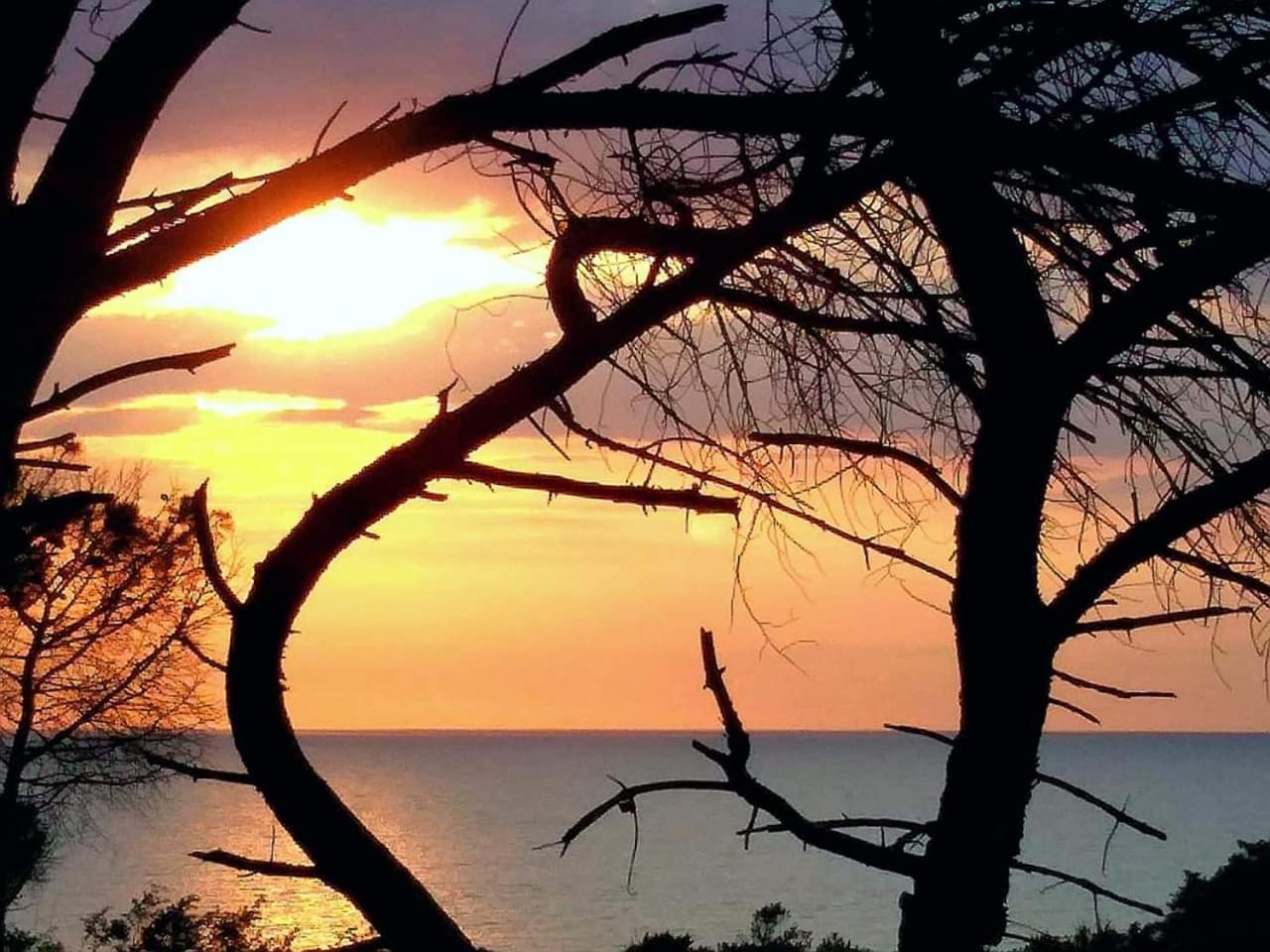 Villa Bouganville 15 Min A Piedi Dalla Spiaggia Rena Majore Exterior foto