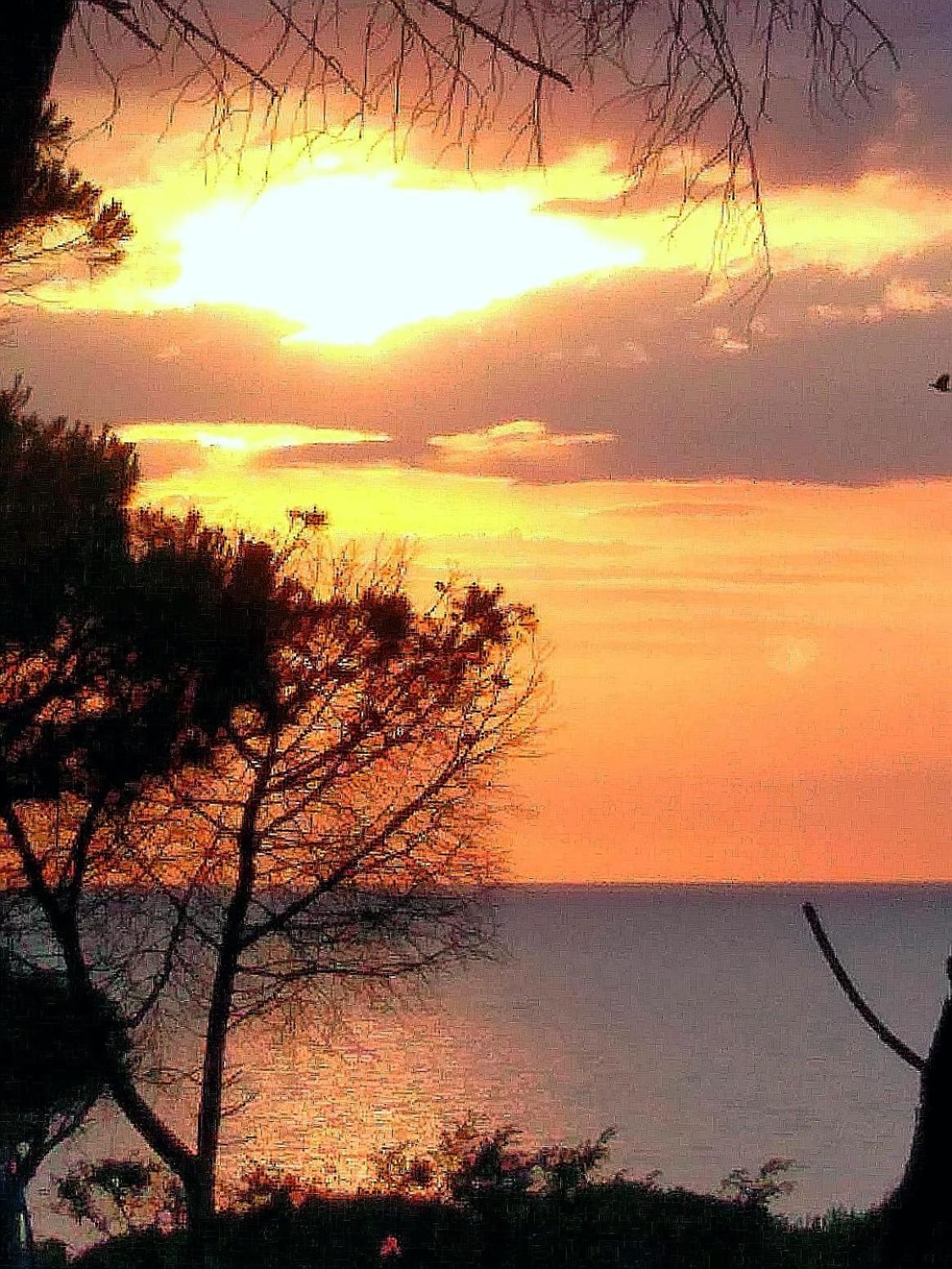 Villa Bouganville 15 Min A Piedi Dalla Spiaggia Rena Majore Exterior foto